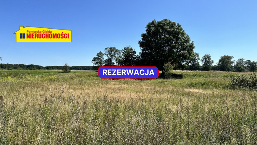 Mieszkanie Sprzedaż Trzcinno